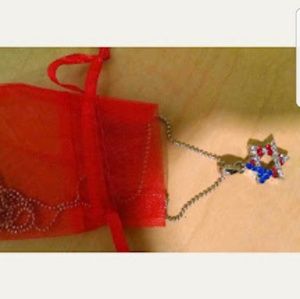 Jewish American Flag Star Necklace